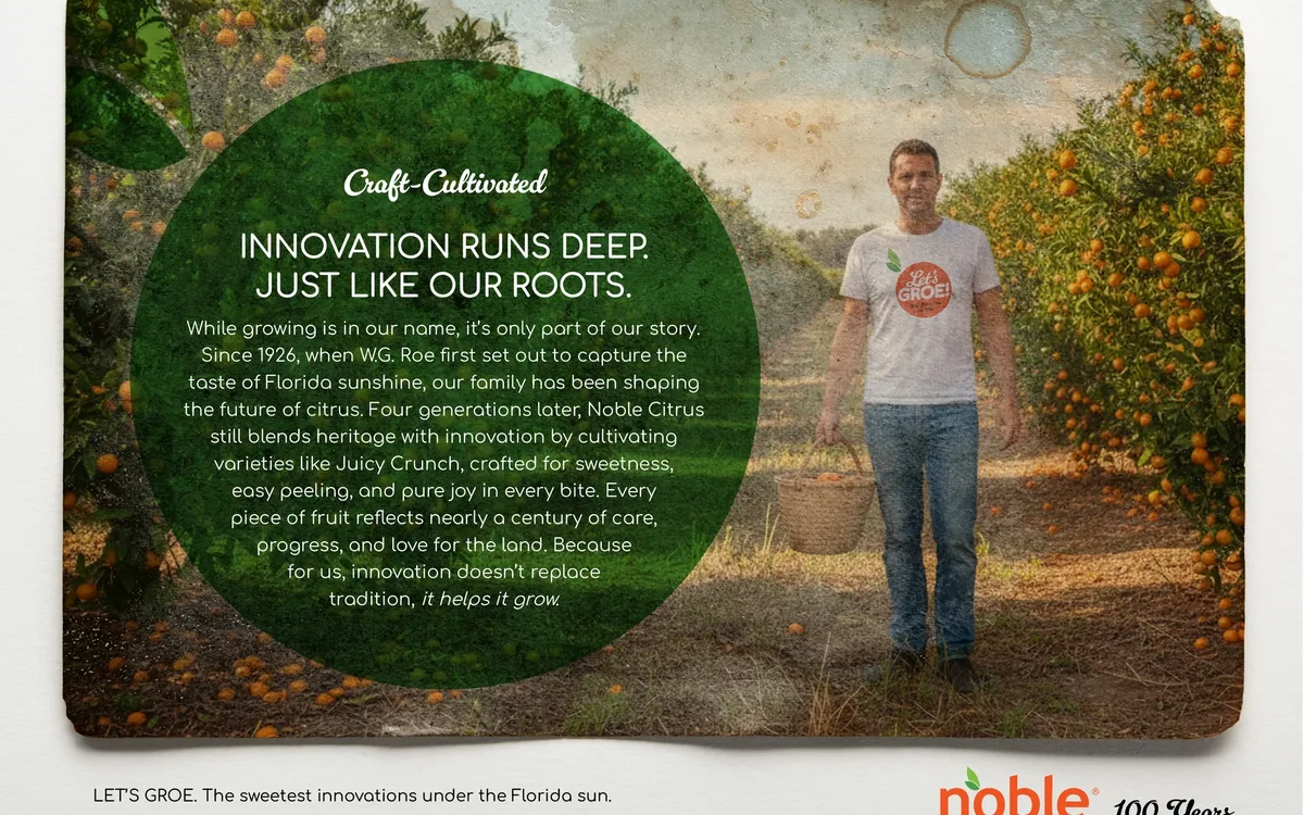 Noble Citrus project cover