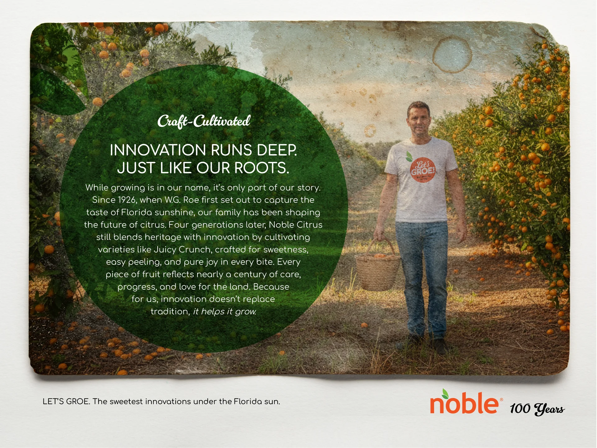 Print ad: a man in a Let’s Groe! shirt holding a basket in an orange grove, headline Innovation runs deep. Just like our roots.