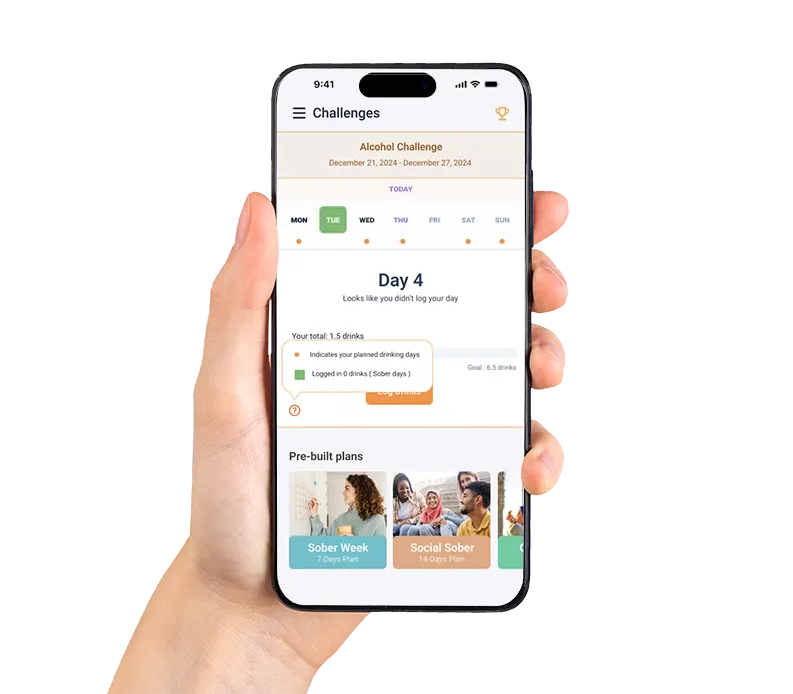 Sobrynth: App experience
